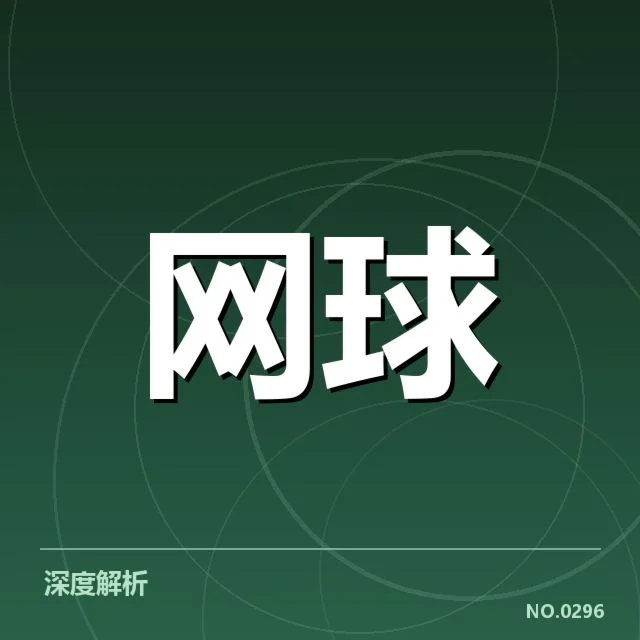 纳达尔与锡内尔的已确认比赛与排名情况